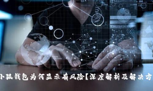  小狐錢包為何顯示有風(fēng)險？深度解析及解決方案