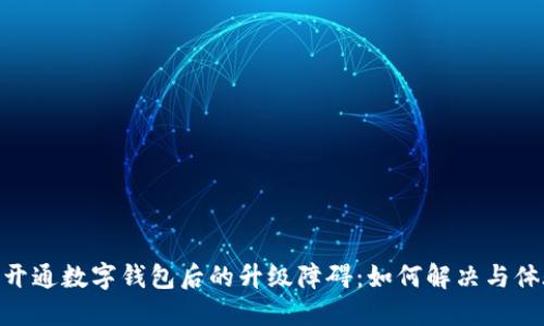 : 開通數(shù)字錢包后的升級障礙：如何解決與體驗(yàn)