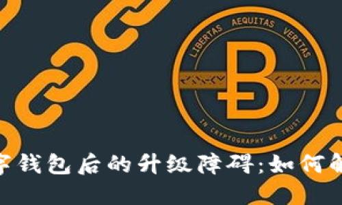 : 開通數(shù)字錢包后的升級障礙：如何解決與體驗(yàn)