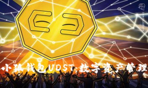 全面解析小狐錢包UDST：數(shù)字資產(chǎn)管理的新選擇