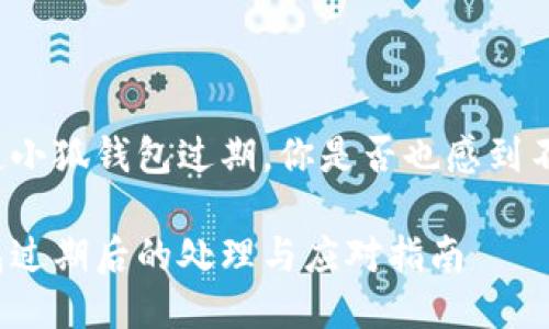 每當(dāng)提起小狐錢包過期，你是否也感到不知所措？

小狐錢包過期后的處理與應(yīng)對(duì)指南