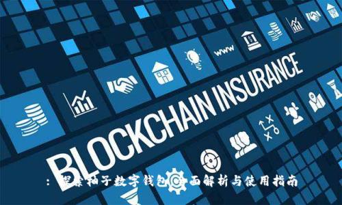 : 探索柚子數(shù)字錢包：全面解析與使用指南