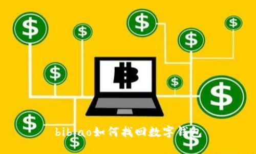 bibiao如何找回數(shù)字錢包
