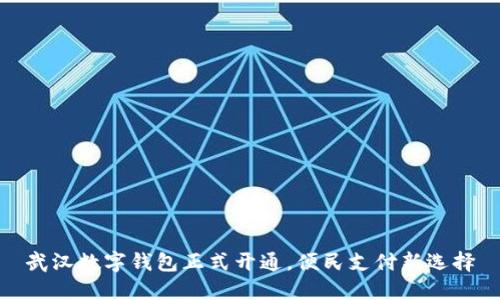 武漢數(shù)字錢包正式開通，便民支付新選擇