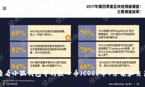 如何查看小狐錢包中的核心幣（CORE幣）余額和交易歷史