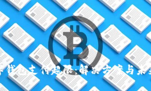 : 數字錢包支付超限：解決方案與未來發(fā)展