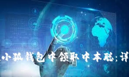 如何在小狐錢包中領(lǐng)取中本聰：詳細(xì)指南