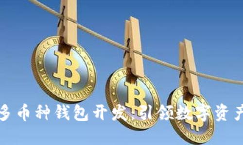 深圳區(qū)塊鏈多幣種錢包開發(fā)：引領(lǐng)數(shù)字資產(chǎn)管理新潮流
