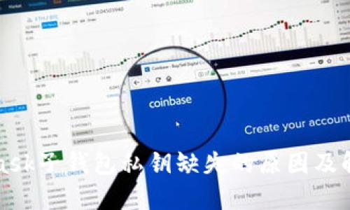 MetaMask子錢(qián)包私鑰缺失的原因及解決方案
