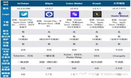   
區(qū)塊鏈支付使用什么錢包最安全可靠？