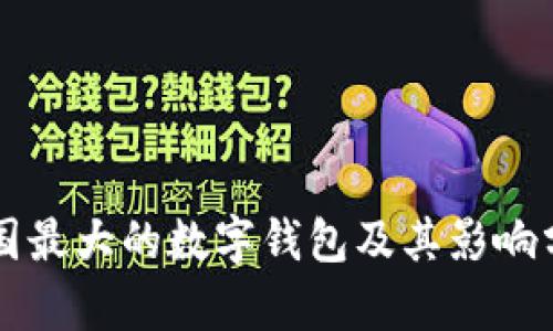 美國(guó)最大的數(shù)字錢包及其影響分析