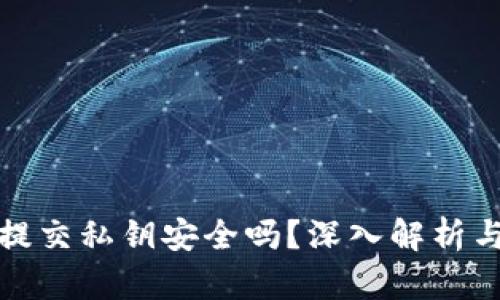 數(shù)字錢(qián)包提交私鑰安全嗎？深入解析與風(fēng)險(xiǎn)防范