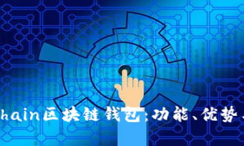 全面解析Chain區(qū)塊鏈錢包：功能、優(yōu)勢(shì)與應(yīng)用場(chǎng)景