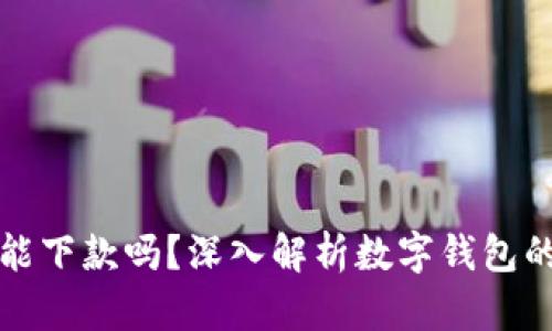 數(shù)字錢包還能下款嗎？深入解析數(shù)字錢包的現(xiàn)狀與未來