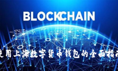 使用上海數(shù)字貨幣錢(qián)包的全面指南