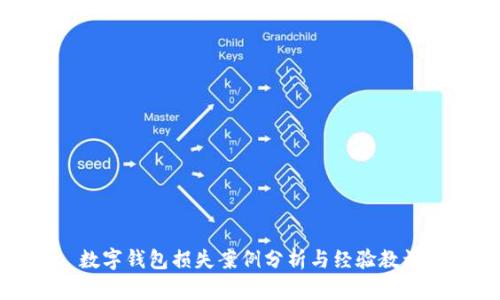 數(shù)字錢(qián)包損失案例分析與經(jīng)驗(yàn)教訓(xùn)