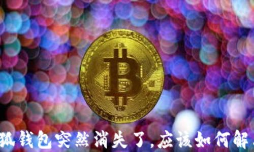 
小狐錢包突然消失了，應該如何解決？