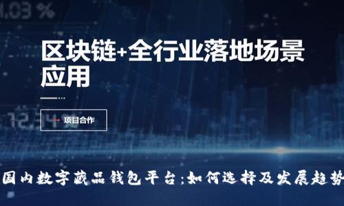 國內(nèi)數(shù)字藏品錢包平臺(tái)：如何選擇及發(fā)展趨勢(shì)