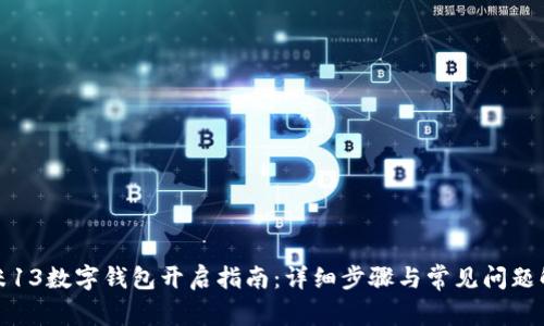 小米13數(shù)字錢包開啟指南：詳細步驟與常見問題解答