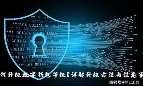 如何升級數(shù)字錢包等級？詳解升級方法與注意事項