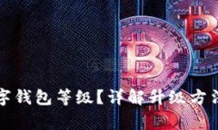 如何升級(jí)數(shù)字錢包等級(jí)？