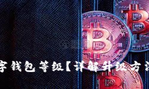 如何升級數(shù)字錢包等級？詳解升級方法與注意事項