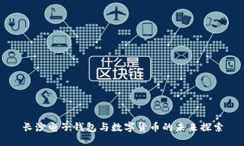 長(zhǎng)沙電子錢包與數(shù)字貨幣的未來探索