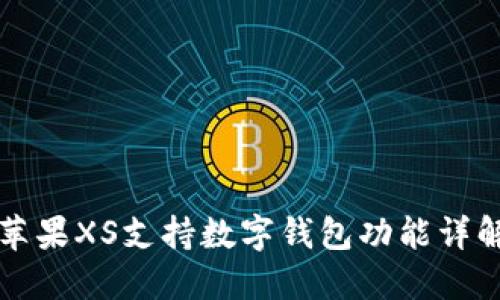 蘋(píng)果XS支持?jǐn)?shù)字錢包功能詳解
