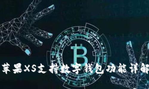 蘋(píng)果XS支持?jǐn)?shù)字錢包功能詳解