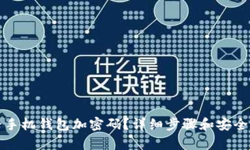 如何給手機(jī)錢包加密碼？詳細(xì)步驟和安全性分析