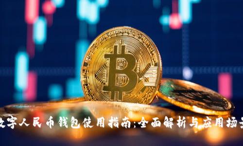 數(shù)字人民幣錢包使用指南：全面解析與應用場景