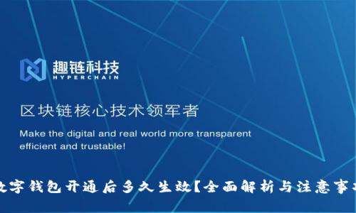數(shù)字錢包開(kāi)通后多久生效？全面解析與注意事項(xiàng)