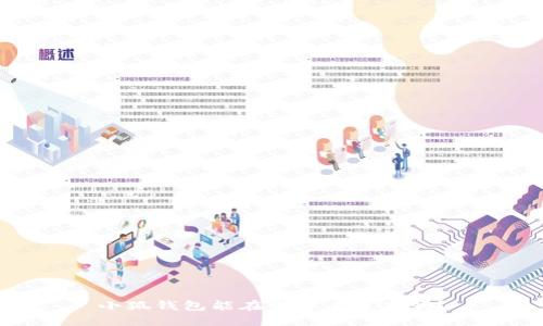 小狐錢包能在電腦上使用嗎？