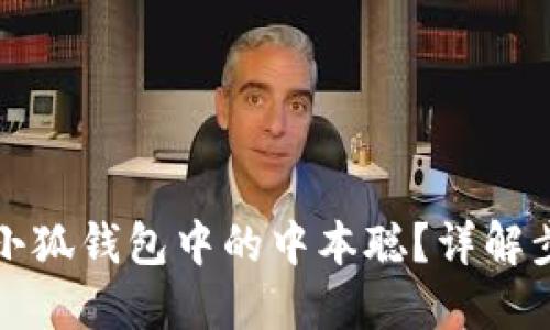 如何找回小狐錢包中的中本聰？詳解步驟與技巧