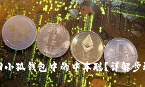 如何找回小狐錢包中的中本聰？詳解步驟與技巧