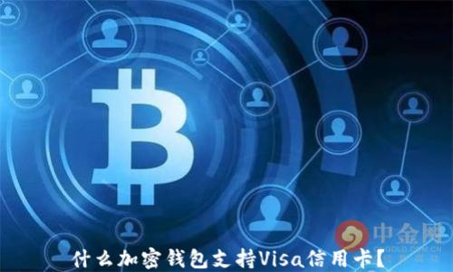 
什么加密錢包支持Visa信用卡？