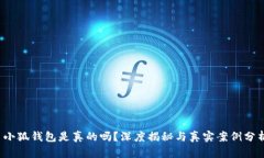 小狐錢包是真的嗎？深度