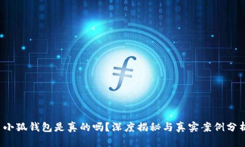  小狐錢包是真的嗎？深度揭秘與真實案例分析