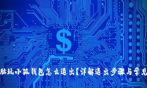 : 電腦玩小狐錢包怎么退出？詳解退出步驟與常見問題
