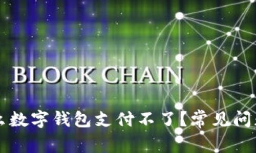 為什么數(shù)字錢包支付不了？常見問題解析