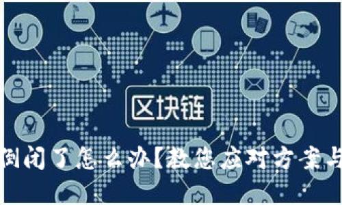 小狐錢包倒閉了怎么辦？教您應(yīng)對(duì)方案與投資建議