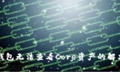 小狐錢包無(wú)法查看Core資產(chǎn)