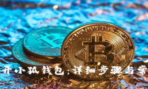 如何順利打開小狐錢包：詳細(xì)步驟與常見問題解答