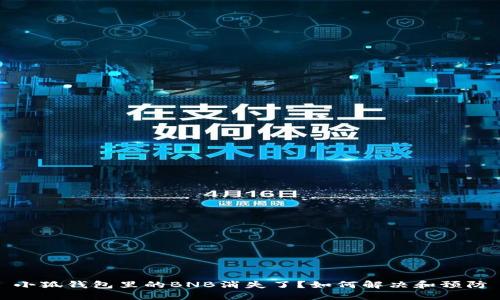 小狐錢包里的BNB消失了？如何解決和預(yù)防