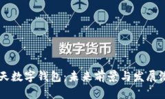 飛天數(shù)字錢(qián)包：未來(lái)前景