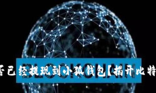 : 中本聰是否已經(jīng)提現(xiàn)到小狐錢包？揭開比特幣神秘面紗！