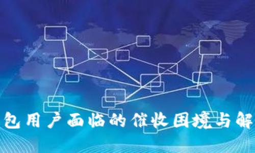 數(shù)字錢(qián)包用戶(hù)面臨的催收困境與解決方案