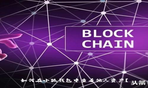 如何在小狐錢(qián)包中查看他人資產(chǎn)？