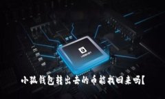 小狐錢包轉出去的幣能找
