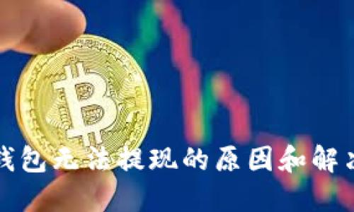 數字錢包無法提現的原因和解決方法